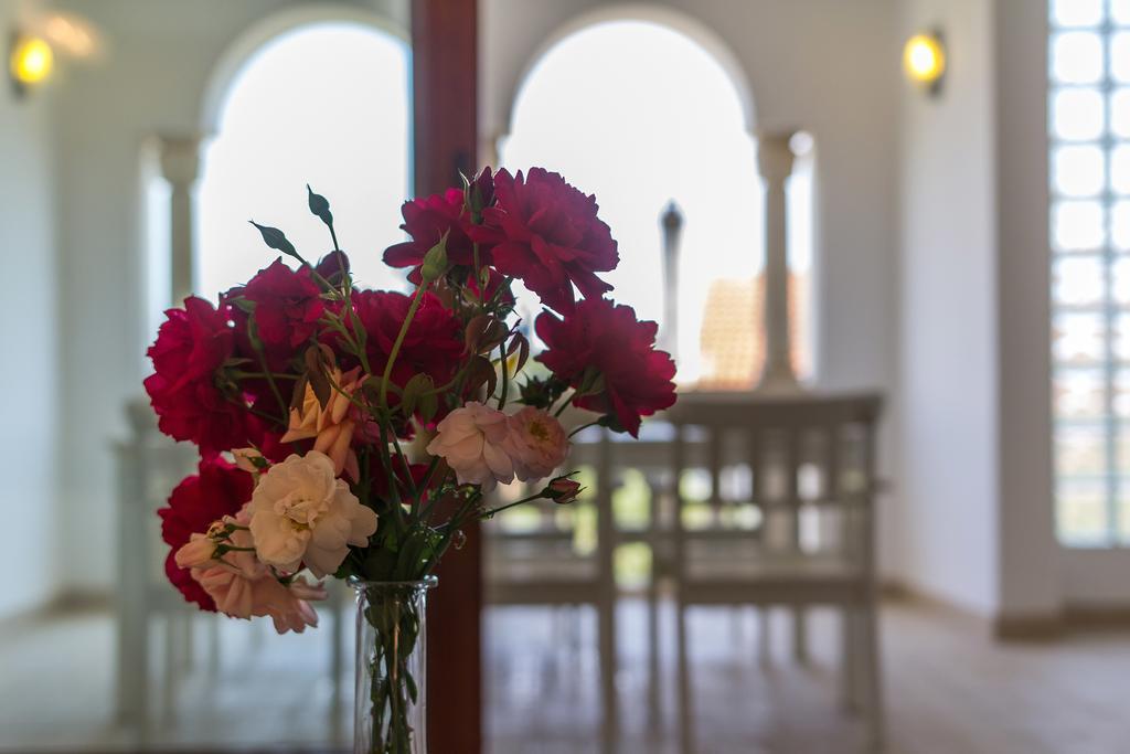 Villa Alma Veli Lošinj Zewnętrze zdjęcie